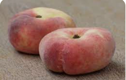 Espaguetis de calabacín con pulpo cocido y paraguayos.